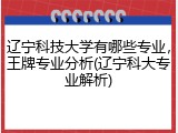 辽宁科技大学有哪些专业，王牌专业分析(辽宁科大专业解析)
