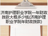 济南护理职业学院一年财政拨款大概多少钱(济南护理职业学院年财政拨款)