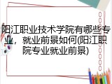阳江职业技术学院有哪些专业，就业前景如何(阳江职院专业就业前景)
