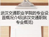 武汉交通职业学院的专业设置概况介绍(武汉交通职院专业概览)