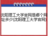 沈阳理工大学官网是哪个网址多少(沈阳理工大学官网)