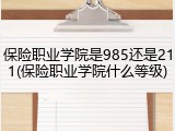 保险职业学院是985还是211(保险职业学院什么等级)