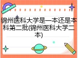 锦州医科大学是一本还是本科第二批(锦州医科大学二本)