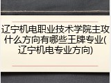 辽宁机电职业技术学院主攻什么方向有哪些王牌专业(辽宁机电专业方向)