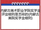 内蒙古美术职业学院奖学金评定细则是怎样的(内蒙古美院奖学金细则)