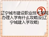 辽宁城市建设职业技术学院办理入学有什么攻略没(辽宁城建入学攻略)