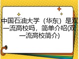 中国石油大学（华东）是双一流高校吗，简单介绍(双一流高校简介)