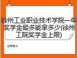 徐州工业职业技术学院一年奖学金最多能拿多少(徐州工院奖学金上限)