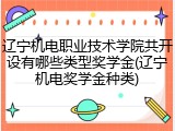辽宁机电职业技术学院共开设有哪些类型奖学金(辽宁机电奖学金种类)
