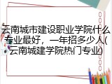 云南城市建设职业学院什么专业最好，一年招多少人(云南城建学院热门专业)
