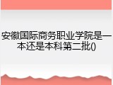 安徽国际商务职业学院是一本还是本科第二批()