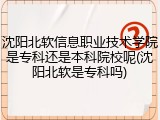 沈阳北软信息职业技术学院是专科还是本科院校呢(沈阳北软是专科吗)
