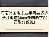 海南外国语职业学院要多少分才能进(海南外国语学院录取分数线)