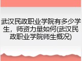 武汉民政职业学院有多少学生，师资力量如何(武汉民政职业学院师生概况)
