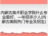 内蒙古美术职业学院什么专业最好，一年招多少人(内蒙古美院热门专业及招生)