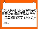 广东茂名幼儿师范专科学校共开设有哪些类型奖学金(茂名幼师奖学金种类)
