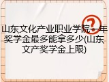 山东文化产业职业学院一年奖学金最多能拿多少(山东文产奖学金上限)