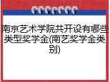 南京艺术学院共开设有哪些类型奖学金(南艺奖学金类别)