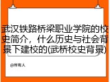 武汉铁路桥梁职业学院的校史简介，什么历史与社会背景下建校的(武桥校史背景)