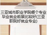 三亚城市职业学院哪个专业毕业就业前景比较好(三亚职院好就业专业)