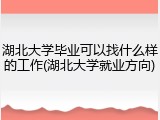 湖北大学毕业可以找什么样的工作(湖北大学就业方向)