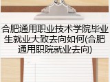 合肥通用职业技术学院毕业生就业大致去向如何(合肥通用职院就业去向)