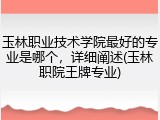 玉林职业技术学院最好的专业是哪个，详细阐述(玉林职院王牌专业)