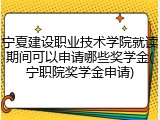宁夏建设职业技术学院就读期间可以申请哪些奖学金(宁职院奖学金申请)