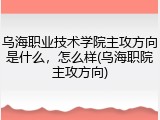 乌海职业技术学院主攻方向是什么，怎么样(乌海职院主攻方向)