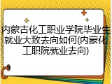 内蒙古化工职业学院毕业生就业大致去向如何(内蒙化工职院就业去向)