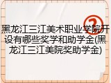黑龙江三江美术职业学院开设有哪些奖学和助学金(黑龙江三江美院奖助学金)