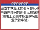 湖南工艺美术职业学院如何申请在读间的创业无息贷款(湖南工艺美术职业学院创业贷款申请)