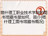 喀什理工职业技术学院的图书馆藏书量如何，简介(喀什理工图书馆藏书概况)