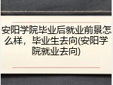 安阳学院毕业后就业前景怎么样，毕业生去向(安阳学院就业去向)