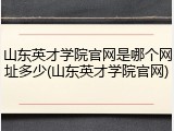 山东英才学院官网是哪个网址多少(山东英才学院官网)