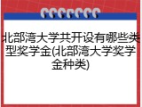 北部湾大学共开设有哪些类型奖学金(北部湾大学奖学金种类)