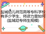 盐城幼儿师范高等专科学校有多少学生，师资力量如何(盐城幼专师生规模)