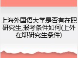 上海外国语大学是否有在职研究生,报考条件如何(上外在职研究生条件)