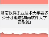 湖南软件职业技术大学要多少分才能进(湖南软件大学录取线)