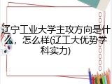 辽宁工业大学主攻方向是什么，怎么样(辽工大优势学科实力)
