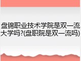 盘锦职业技术学院是双一流大学吗?(盘职院是双一流吗)