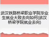 武汉铁路桥梁职业学院毕业生就业大致去向如何(武汉桥梁学院就业去向)
