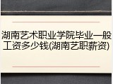 湖南艺术职业学院毕业一般工资多少钱(湖南艺职薪资)