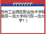 苏州工业园区职业技术学院是双一流大学吗?(双一流大学？)