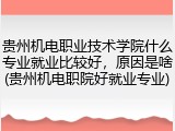 贵州机电职业技术学院什么专业就业比较好，原因是啥(贵州机电职院好就业专业)