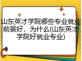 山东英才学院哪些专业就业前景好，为什么(山东英才学院好就业专业)