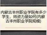 内蒙古丰州职业学院有多少学生，师资力量如何(内蒙古丰州职业学院规模)