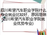四川希望汽车职业学院什么专业就业比较好，原因是啥(四川希望汽车职业学院就业优势专业)
