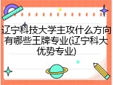 辽宁科技大学主攻什么方向有哪些王牌专业(辽宁科大优势专业)