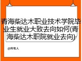 青海柴达木职业技术学院毕业生就业大致去向如何(青海柴达木职院就业去向)
